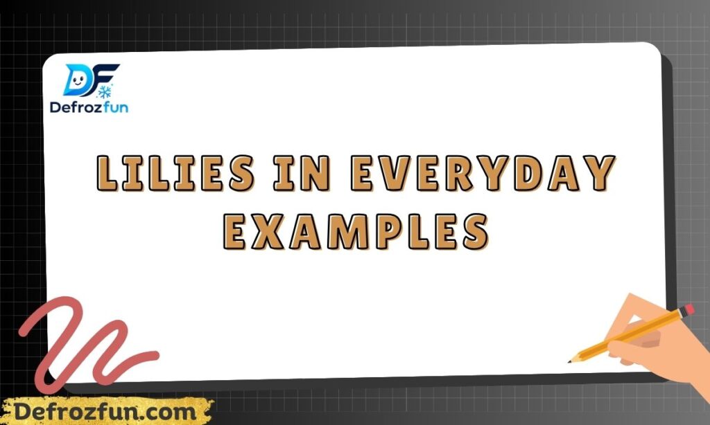 Lilies in Everyday Examples